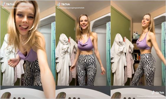 @peepeepoopoogangnamstyle braless pokies