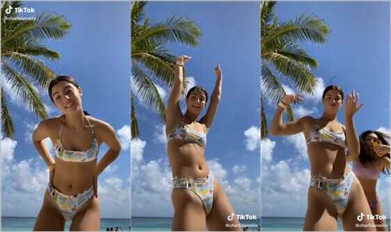 charlidamelio bikini crotch dancing